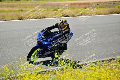 media/May-10-2024-2WTD (Fri) [[c88d7990af]]/Group C/Session 2-The Bowl/